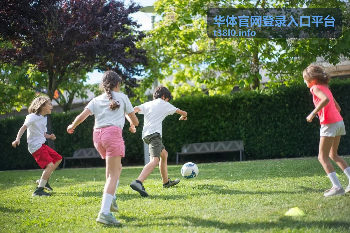 华体官网登录入口平台服务范围页面示意
